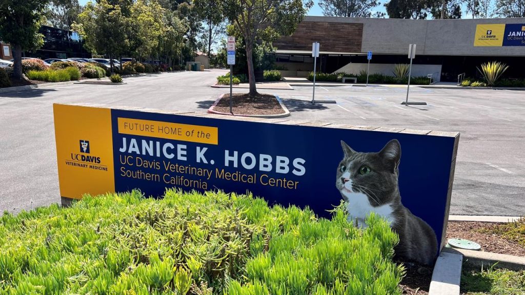 Greater capacity in specialty animal care aim of new San Diego center opening in 2025