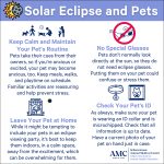 Guiding clients in keeping pets safe and stress-free during the eclipse