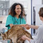 How independent veterinary practices are winning with clients