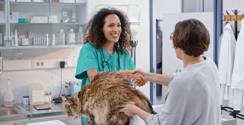 How independent veterinary practices are winning with clients