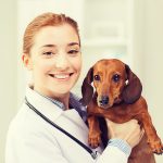 Only 49 percent of veterinarians believe their profession is appreciated, survey shows